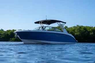 Thumbnail von Sea Ray SDX 270 Dıştan Takma Motor
