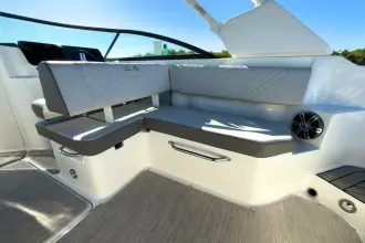 Thumbnail von Sea Ray SDX 270 Dıştan Takma Motor