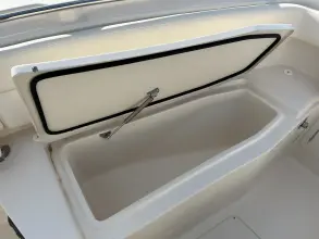 Thumbnail von Grady White Canyon 271