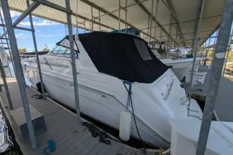 Thumbnail von シー レイ 500 サンダンサー