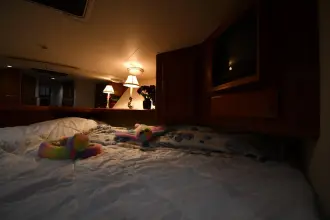 Thumbnail von Viking 50 Convertible VOTRE LOYER EST DÛ