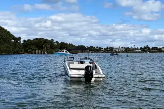 Thumbnail von Sea Ray SPX 210 buitenboordmotor