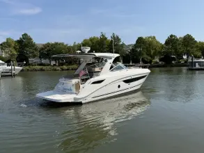 Thumbnail von Sea Ray 350 Sundancer