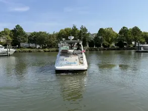 Thumbnail von Sea Ray 350 Sundancer