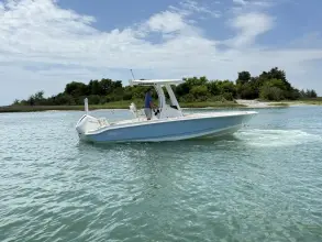 Boston Whaler 220 Dauntless