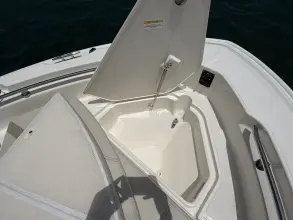 Thumbnail von Boston Whaler 220 Dauntless