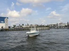 Thumbnail von Boston Whaler 220 Dauntless