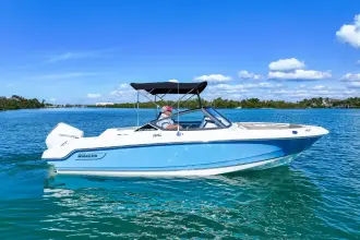 Boston Whaler 210 Vantage