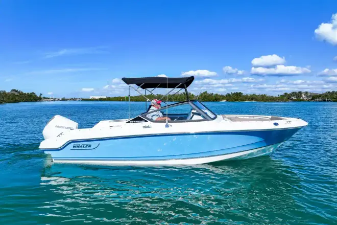 Boston Whaler 210 Vantage
