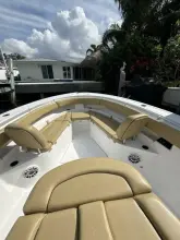 Thumbnail von Sporcu Açık 352 Scungilli