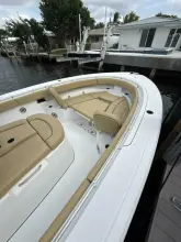 Thumbnail von Sporcu Açık 352 Scungilli