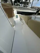 Thumbnail von Sporcu Açık 352 Scungilli