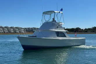 Thumbnail von Bertram 31 Flybridge Cruiser BANDIT