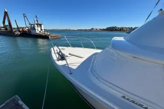 Thumbnail von Bertram 31 Flybridge Cruiser BANDIT