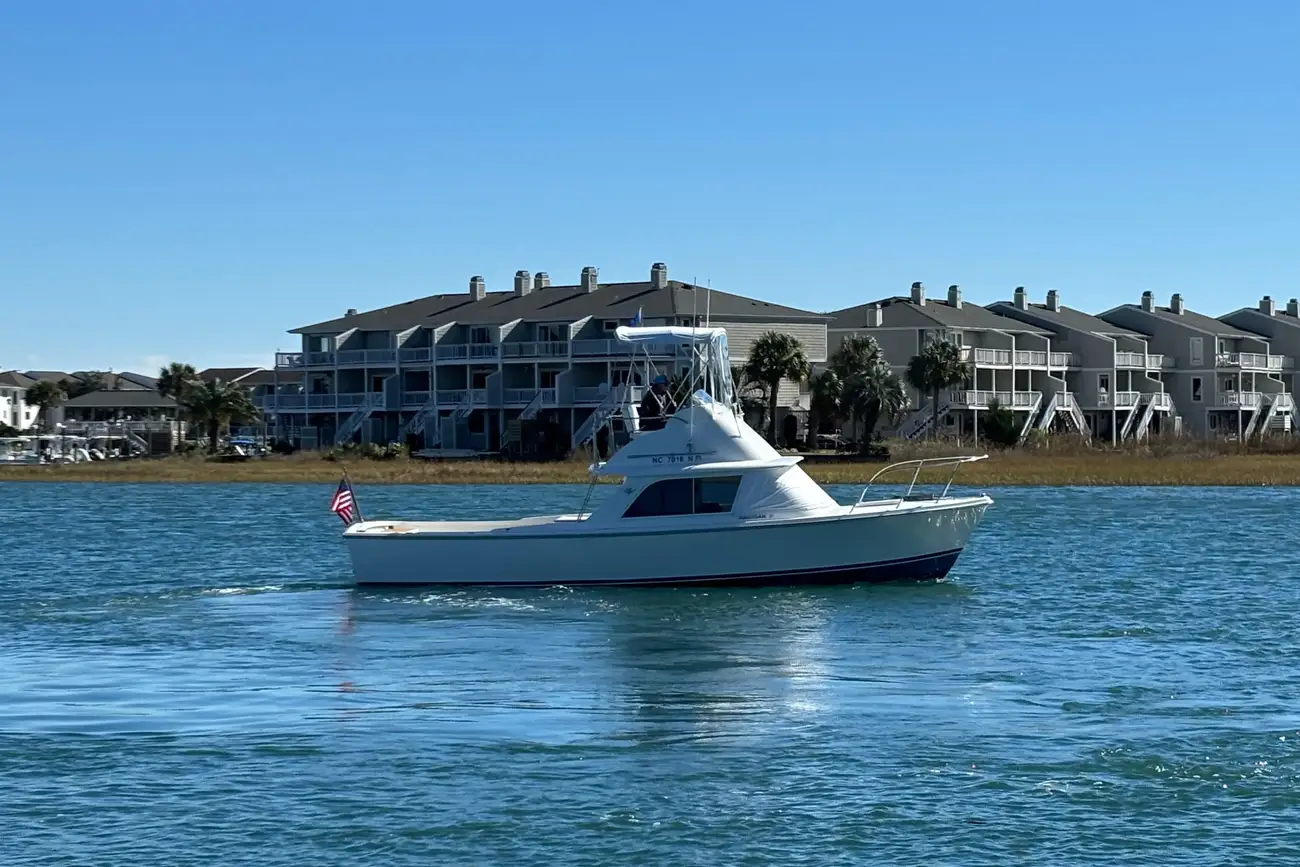 Thumbnail von Bertram 31 Flybridge Cruiser BANDIT