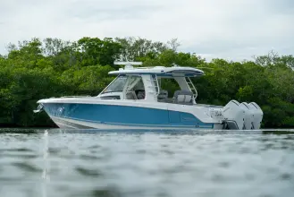 Thumbnail von Boston Whaler 350 Realm