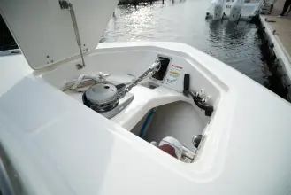 Thumbnail von Boston Whaler 350 Realm