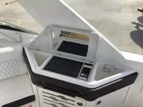 Thumbnail von Sea Ray SLX 310