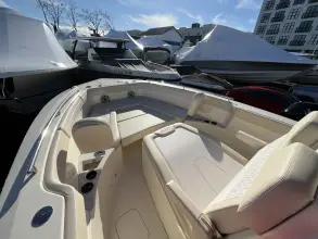 Thumbnail von Scout 260 LXF