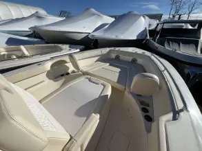 Thumbnail von Scout 260 LXF