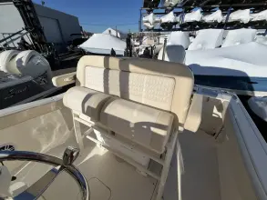 Thumbnail von Scout 240 XSF