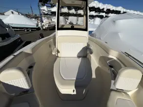 Thumbnail von Scout 240 XSF