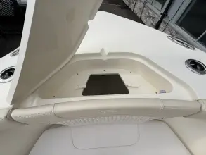 Thumbnail von Scout 240 XSF