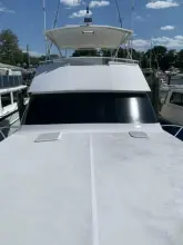Thumbnail von Viking 50 Convertible Pier Pressure