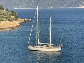 Thumbnail von Amel Super Maramu 53