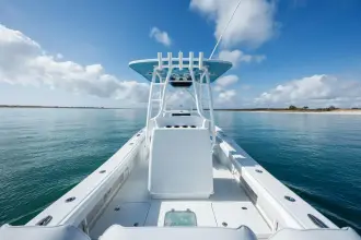 Thumbnail von Yellowfin 26 Hibrit