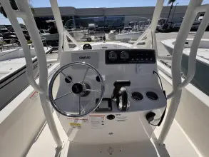 Thumbnail von Boston Whaler 190 Montauk