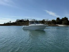 Thumbnail von Boston Whaler 285 Conquest Pilothouse