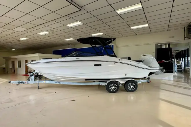 Sea Ray SPX 210 Hors-bord