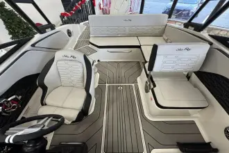 Thumbnail von シー レイ SPX 210 オウトボード