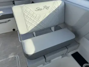 Thumbnail von Sea Ray SDX 250 fuera de borda