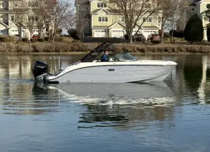 Thumbnail von Sea Ray SDX 250 fuera de borda