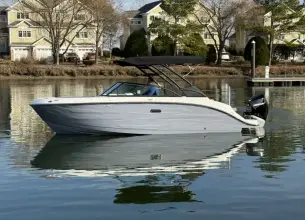 Thumbnail von Sea Ray SDX 250 fuera de borda