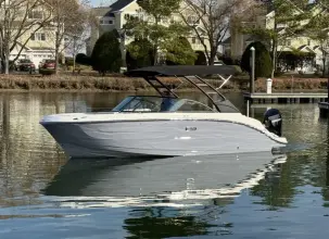 Thumbnail von Sea Ray SDX 250 fuera de borda