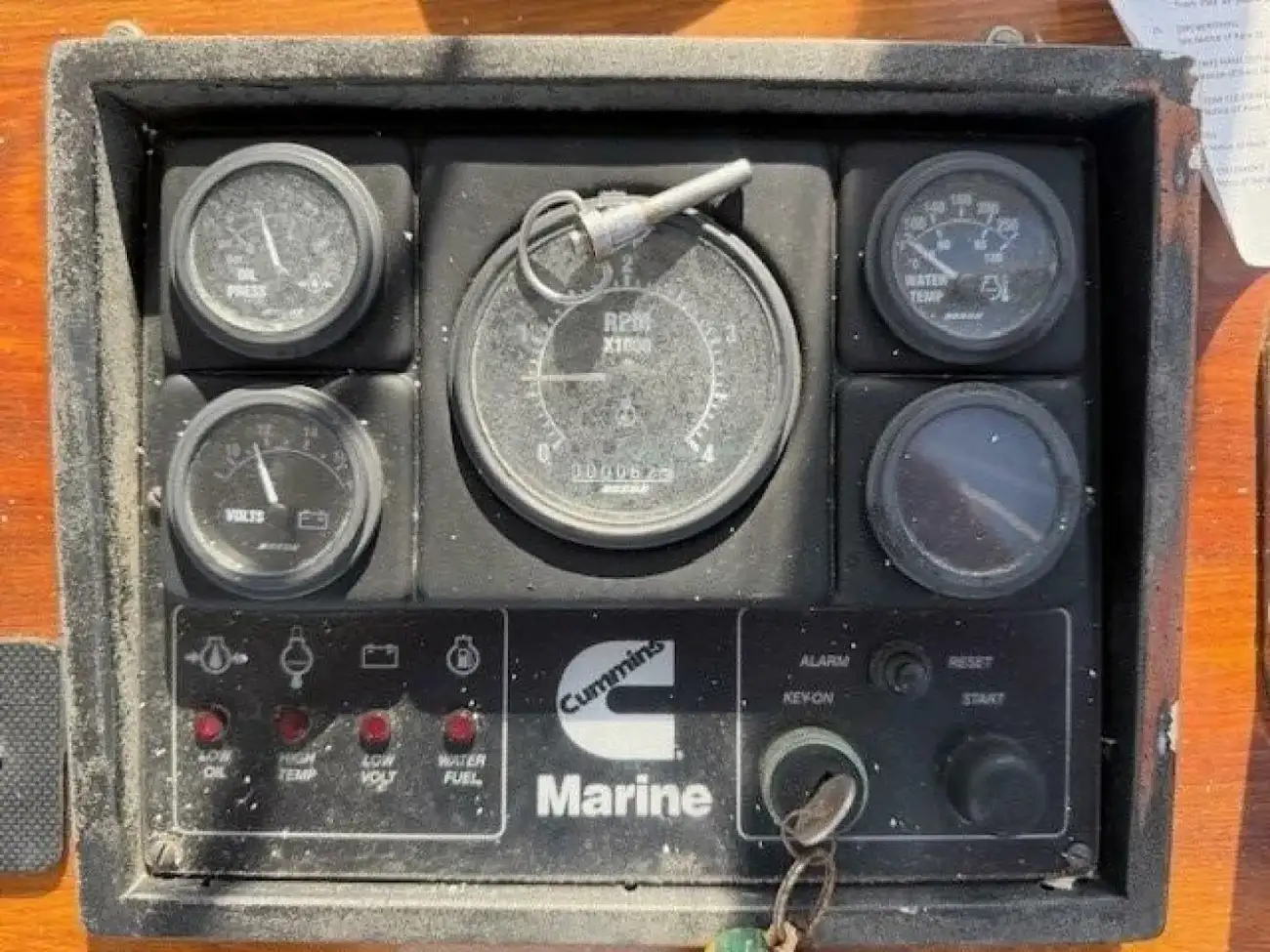 Thumbnail von Jarvis Newman 32