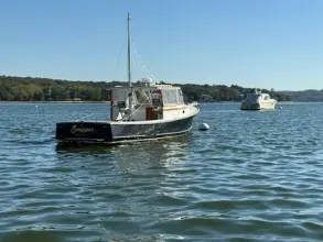 Thumbnail von Jarvis Newman 32