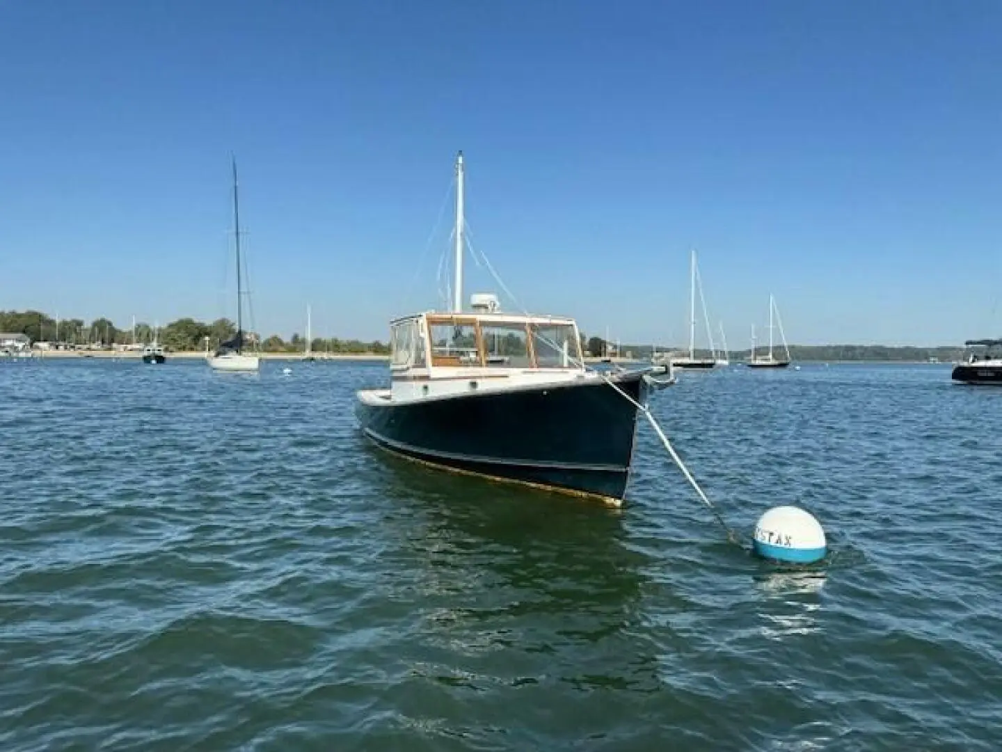 Thumbnail von Jarvis Newman 32