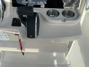 Thumbnail von Boston Whaler 250 Dauntless