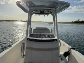 Thumbnail von Boston Whaler 250 Dauntless