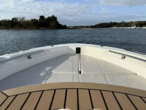 Thumbnail von Boston Whaler 250 Dauntless