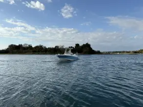 Thumbnail von Boston Whaler 250 Dauntless