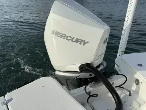 Thumbnail von Boston Whaler 250 Dauntless