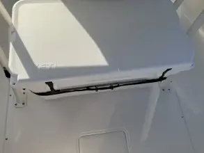 Thumbnail von Boston Whaler 250 Dauntless