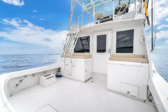 Thumbnail von Hatteras 42 Convertible