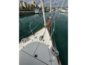 Thumbnail von Gozzard 36E