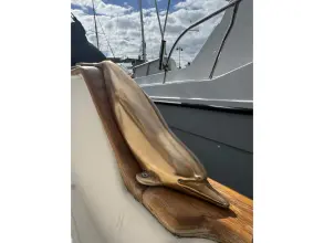 Thumbnail von Gozzard 36E